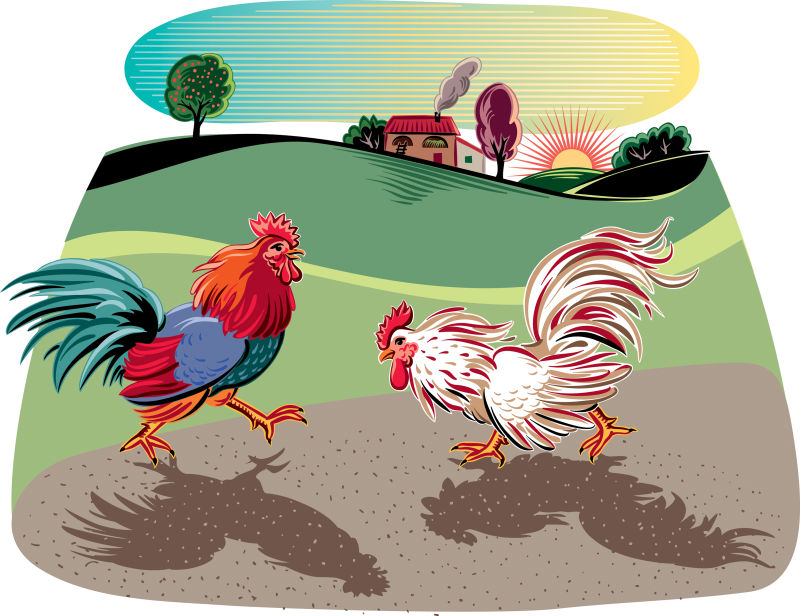 创意矢量公鸡的平面插图