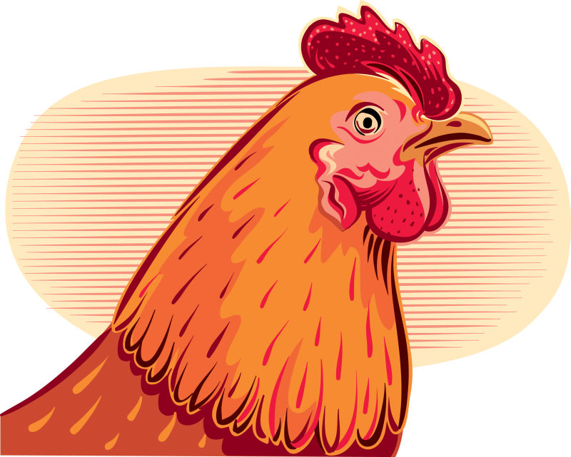 矢量抽象卡通公鸡的平面插图