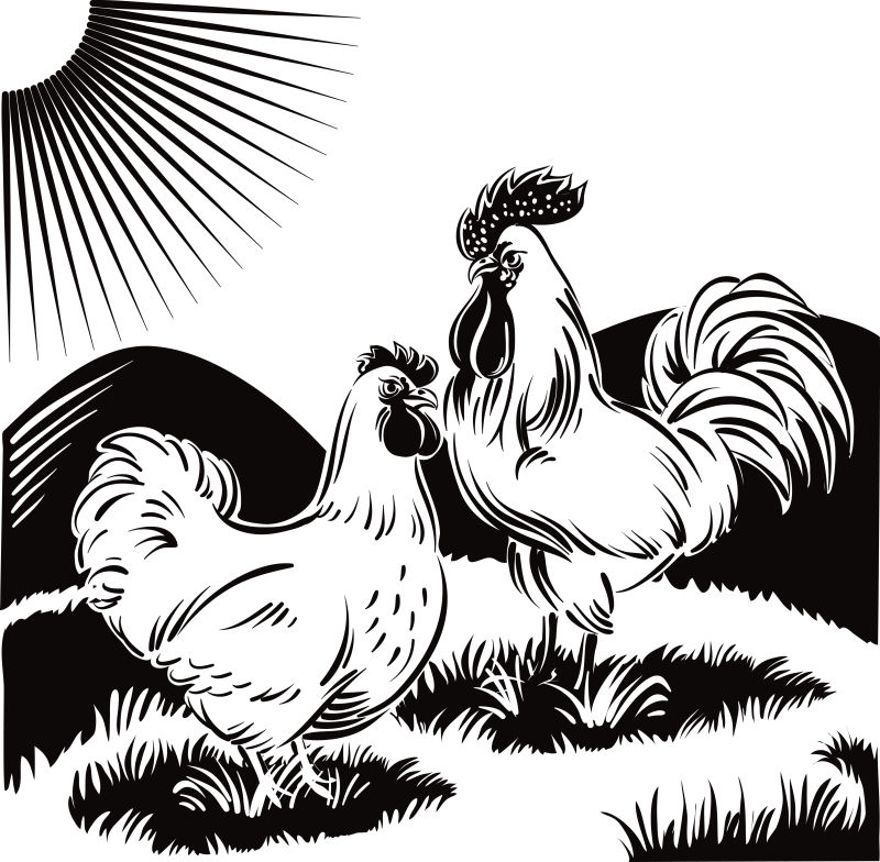 抽象矢量手绘公鸡插图