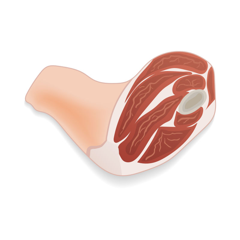 矢量新鲜生火腿肉设计