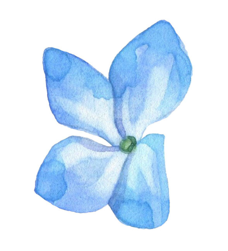 矢量的蓝色花朵设计