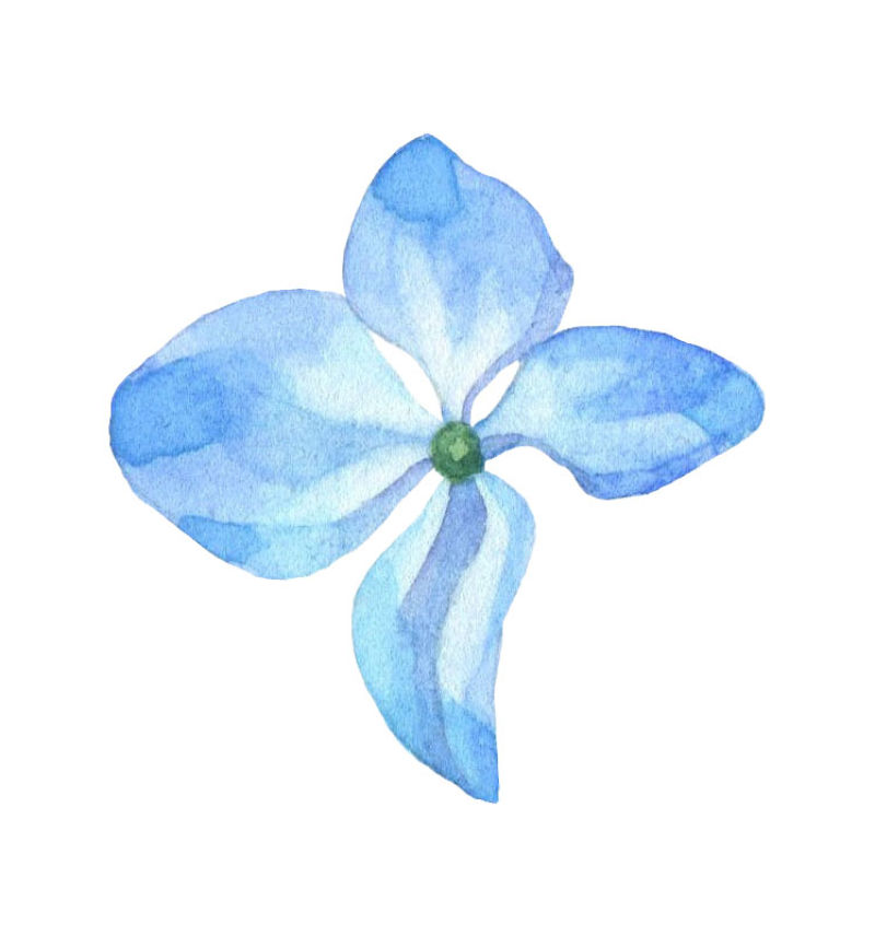 矢量蓝色水彩花朵设计