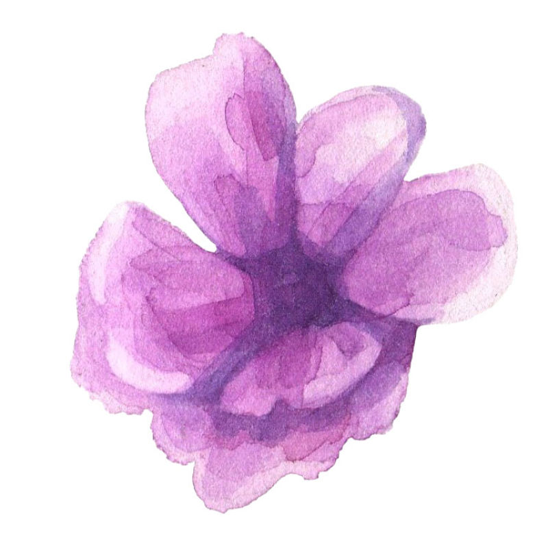 矢量手绘的粉紫色花朵设计