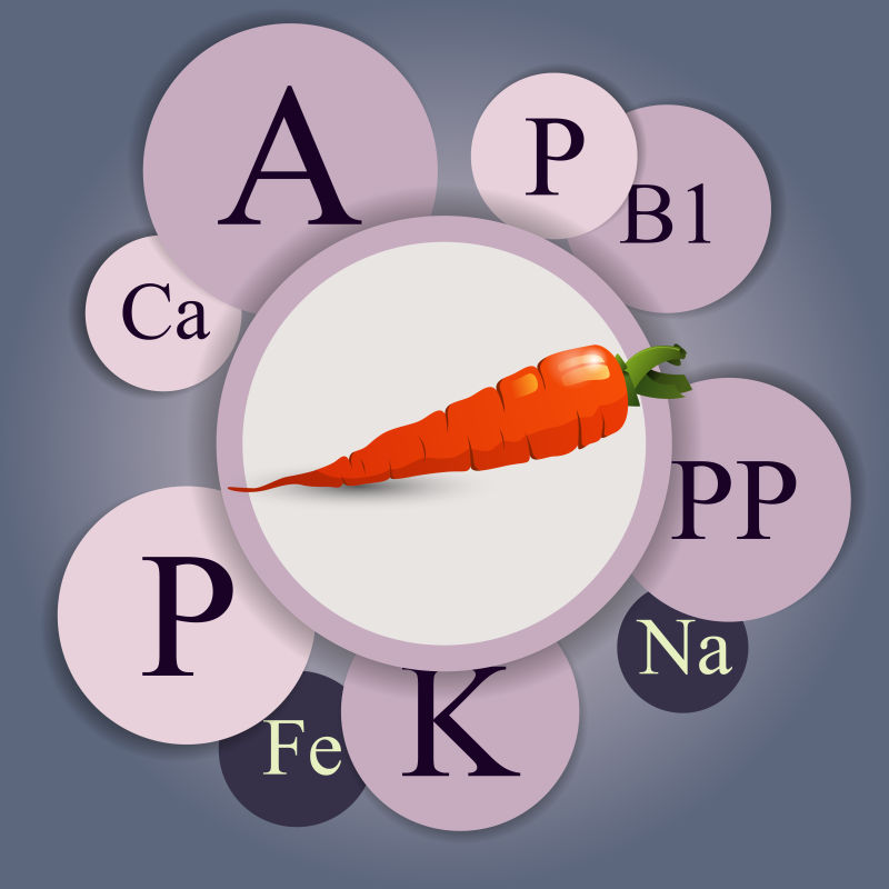 创意矢量胡萝卜所含维生素信息插图