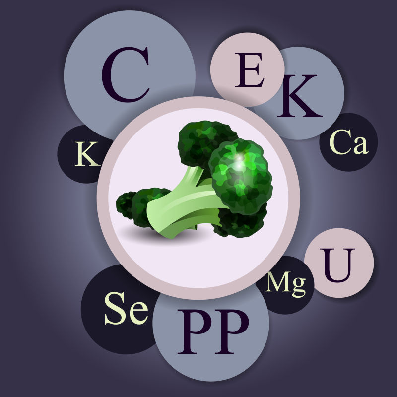 创意矢量花椰菜所含的维生素信息插图