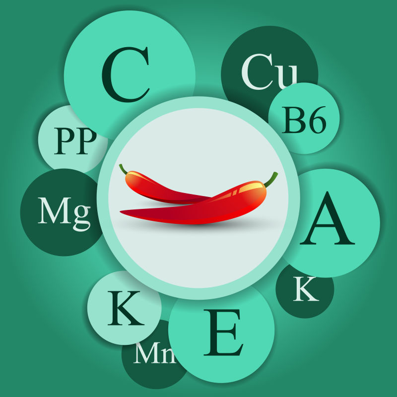 抽象矢量红辣椒所含维生素信息插图