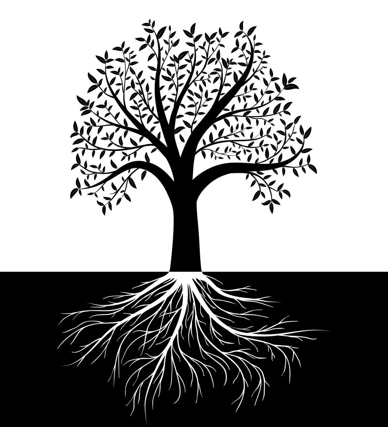 创意矢量黑白的树木设计插图