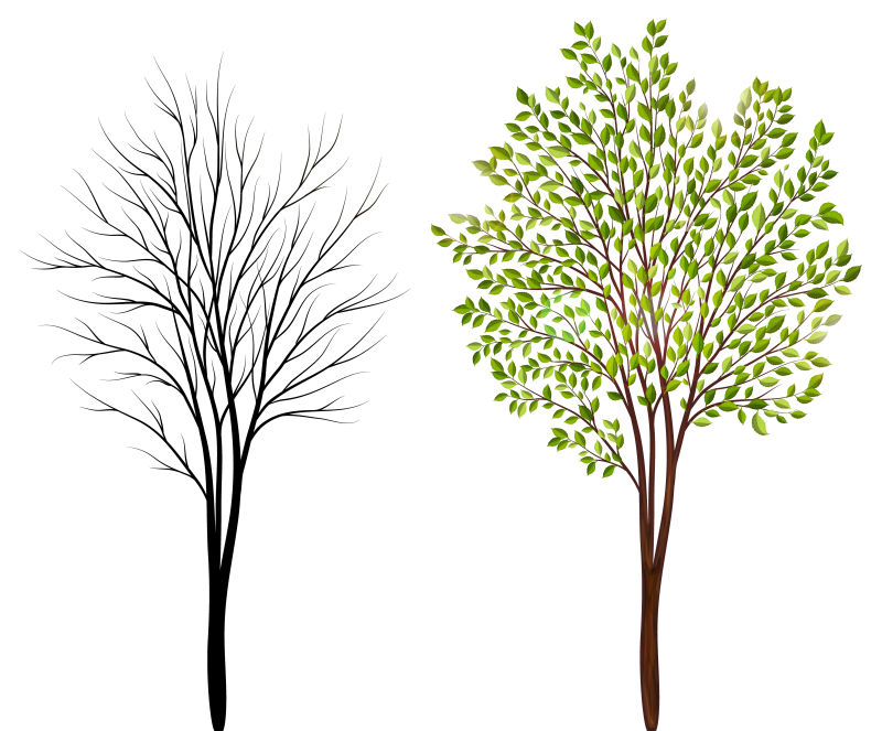 创意矢量有叶子和无叶子的树木设计元素