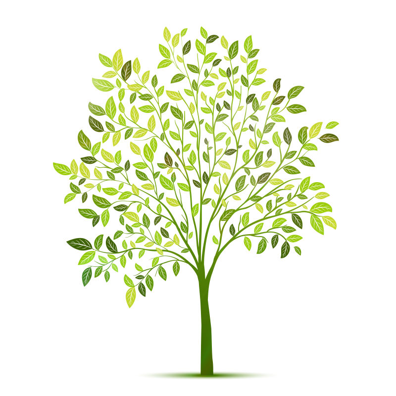 矢量绿色树木插图设计