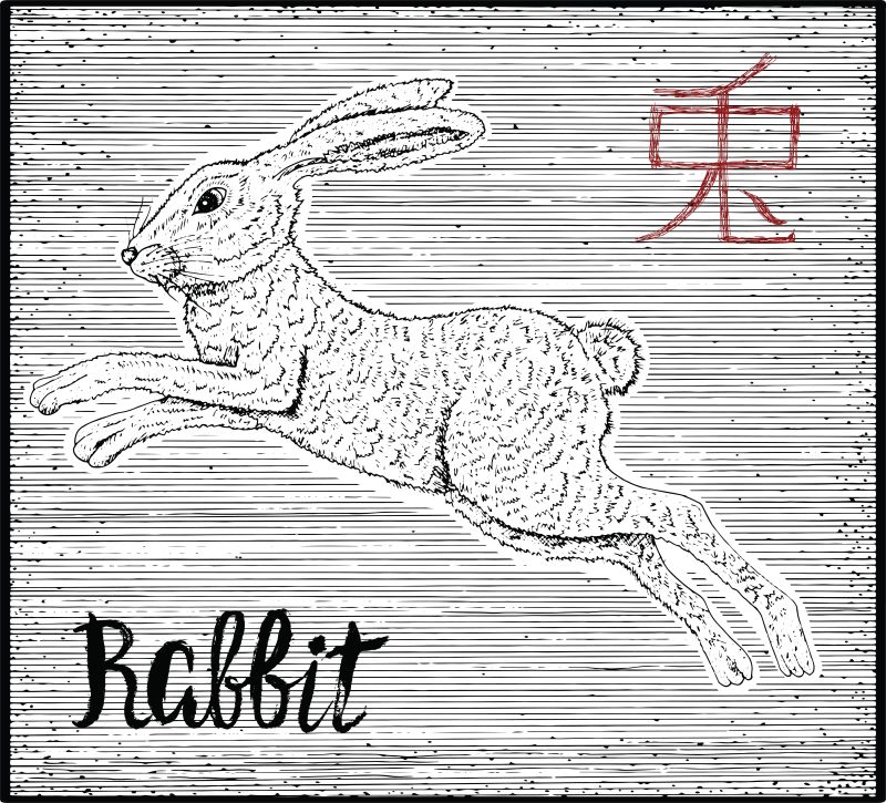 抽象矢量现代手绘兔子插图设计