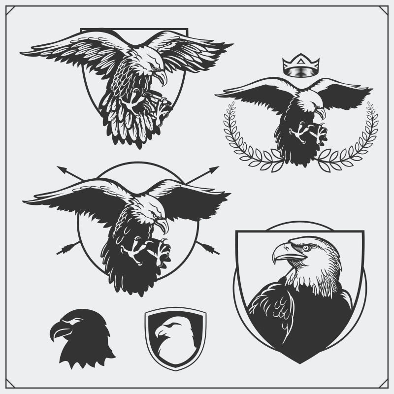 鹰纹章纹章体育俱乐部的标签标志和设计元素