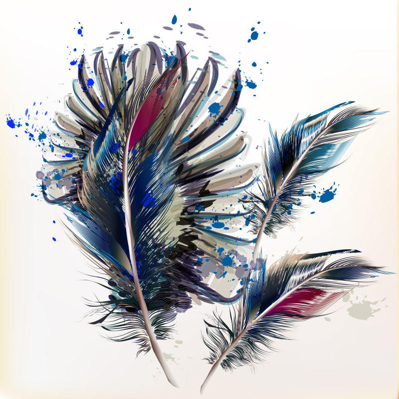 抽象矢量美丽的羽毛插图