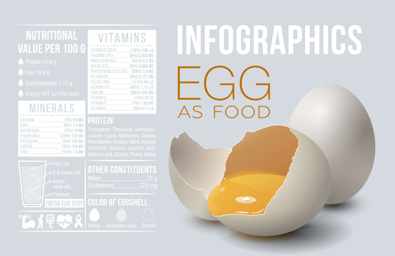 创意矢量现代鸡蛋元素信息图表设计