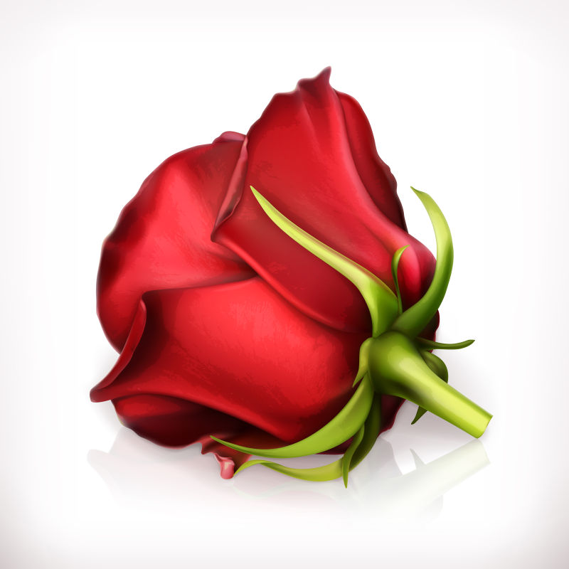 创意矢量时尚红玫瑰设计插图