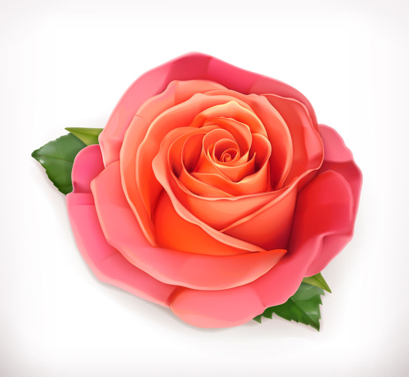 抽象矢量粉红玫瑰设计
