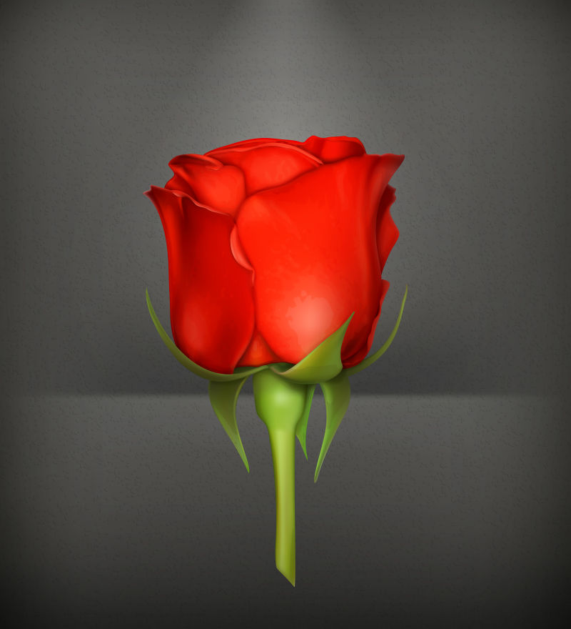 创意矢量现代红色玫瑰设计插图