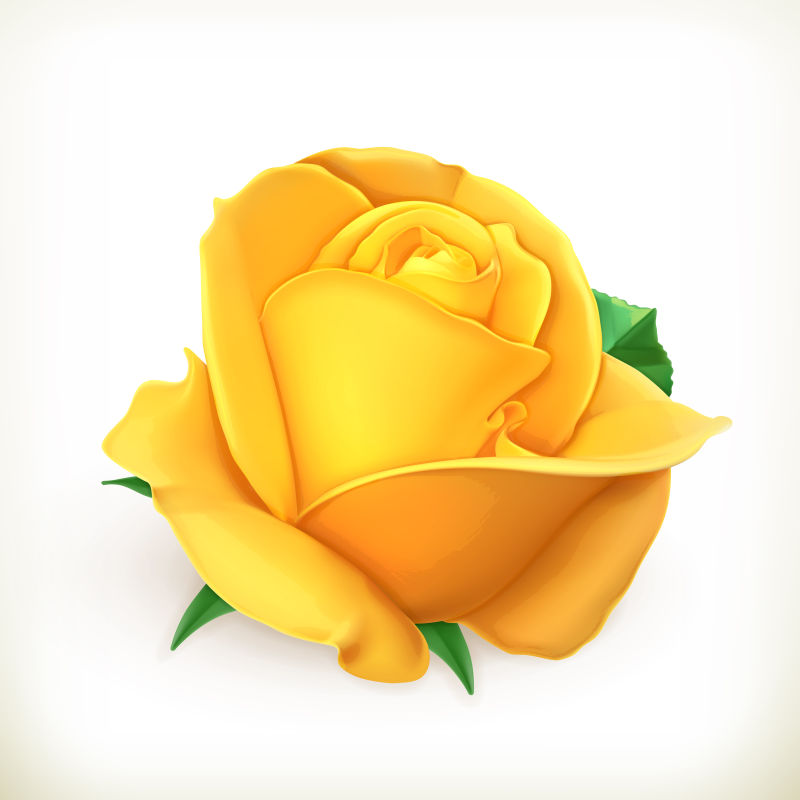 抽象矢量黄色玫瑰设计插图
