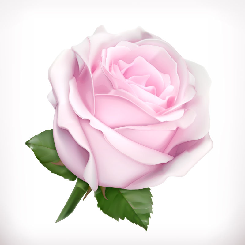 抽象矢量粉色玫瑰设计插图