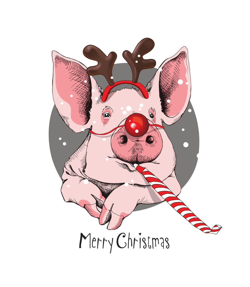 矢量圣诞节卡通猪设计