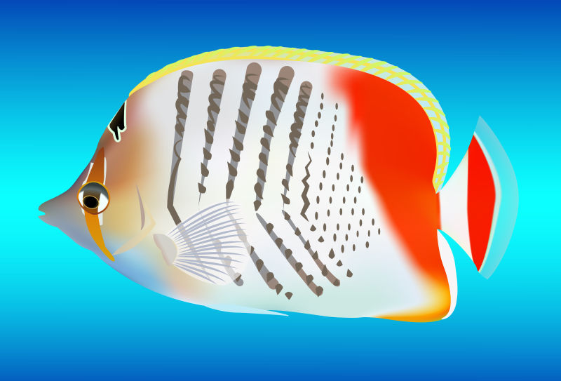 抽象矢量现代海底鱼设计插图