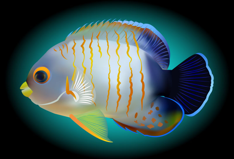 抽象矢量海底鱼类插图设计