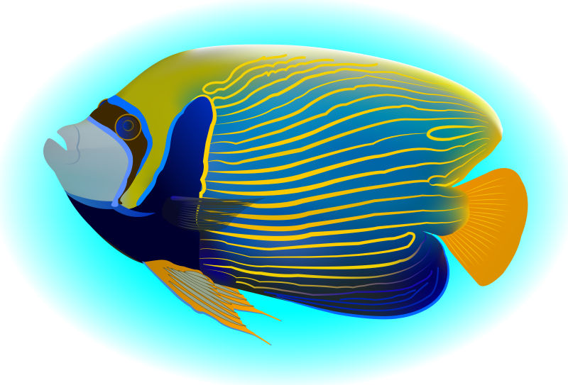 抽象矢量现代热带鱼插图设计