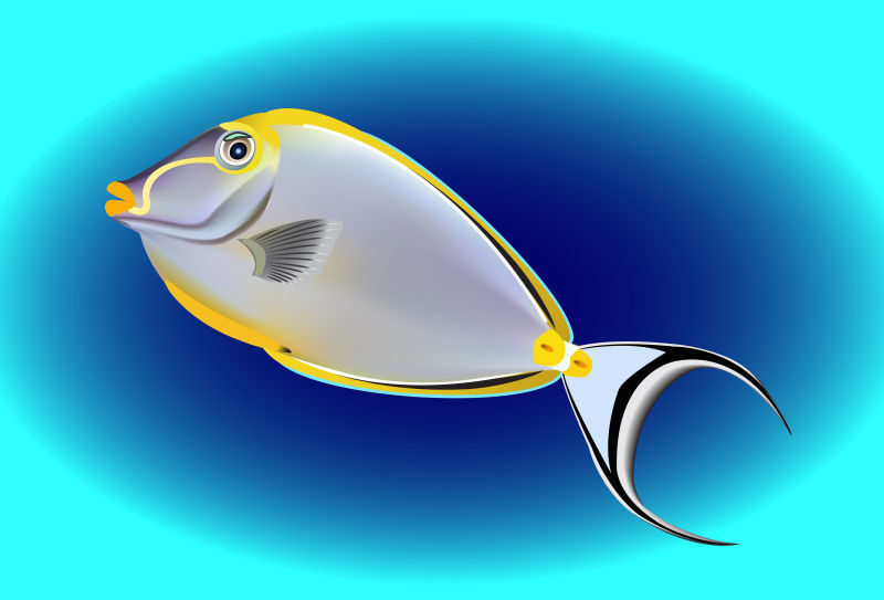 矢量现代抽象热带鱼类插图设计