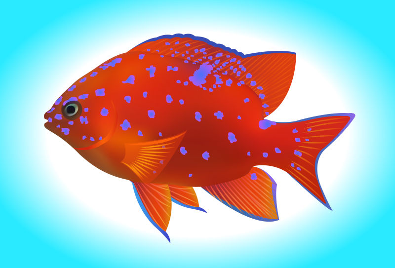 抽象矢量红色篮斑点鱼设计