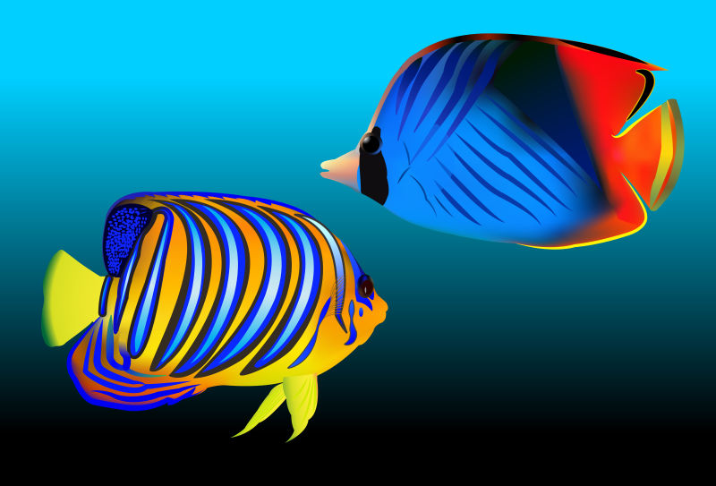 矢量抽象现代热带鱼类插图设计
