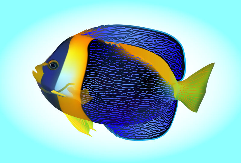 抽象矢量现代蓝色热带鱼插图