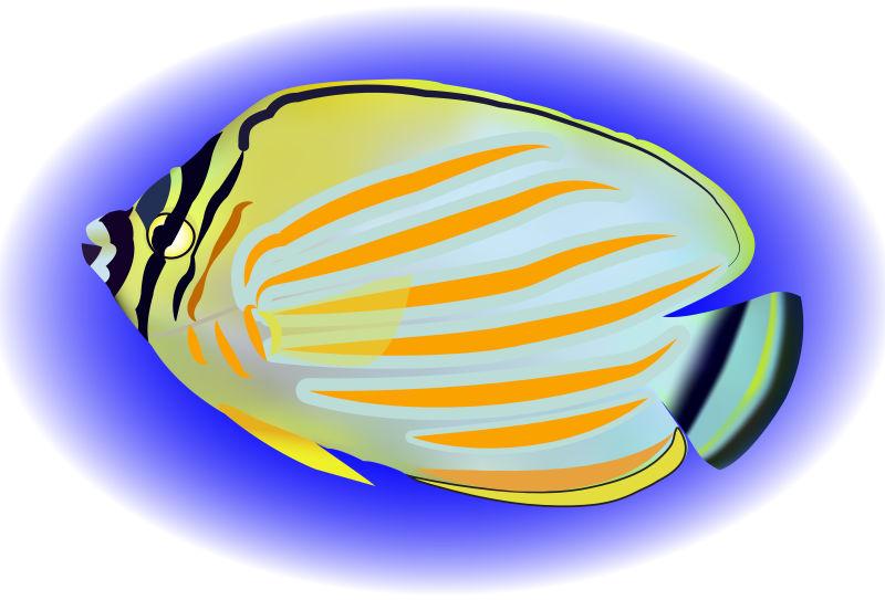 矢量美丽纹理的热带鱼插图设计