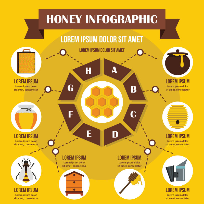 矢量蜂蜜资讯主题的信息图表设计