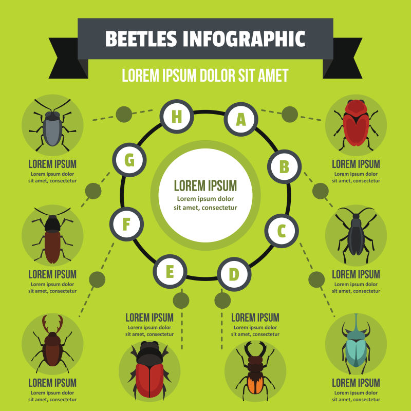 抽象矢量现代甲虫资讯主题的信息图表设计