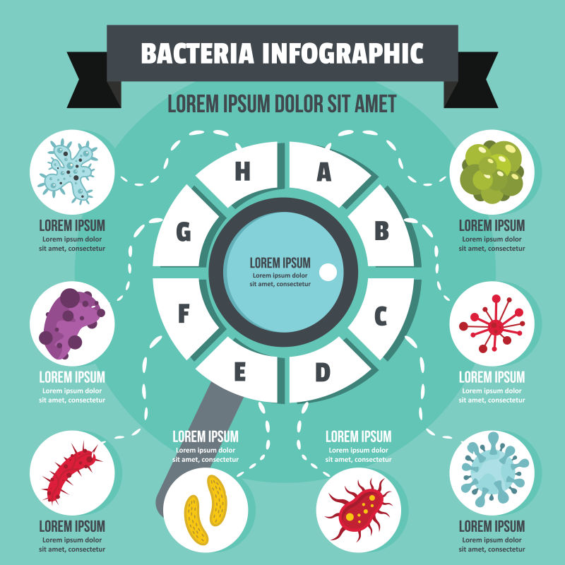 创意矢量细菌资讯主题的信息图表设计