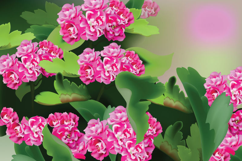 抽象矢量粉色花朵设计插图