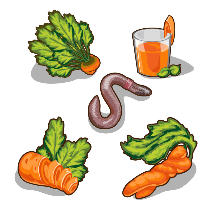 抽象矢量现代胡萝卜美食插图设计