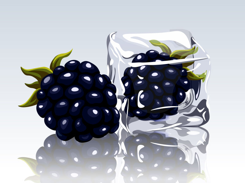 创意矢量冰块中的黑莓插图设计