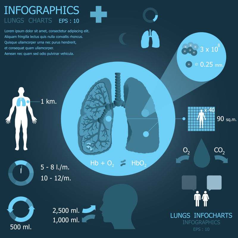 创意矢量现代人体肺部信息图表设计
