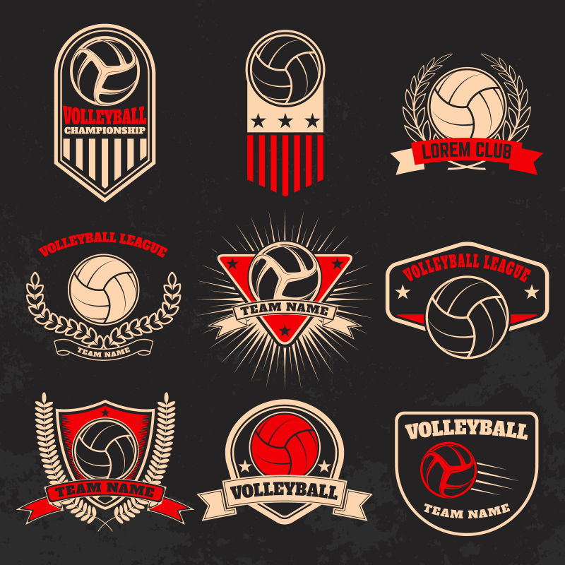排球标签标志拉贝徽章标志设计元素