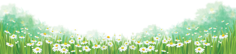 矢量抽象现代春季雏菊元素背景设计