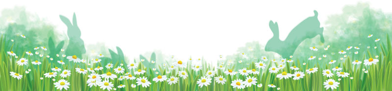 抽象矢量现代雏菊元素春季背景设计