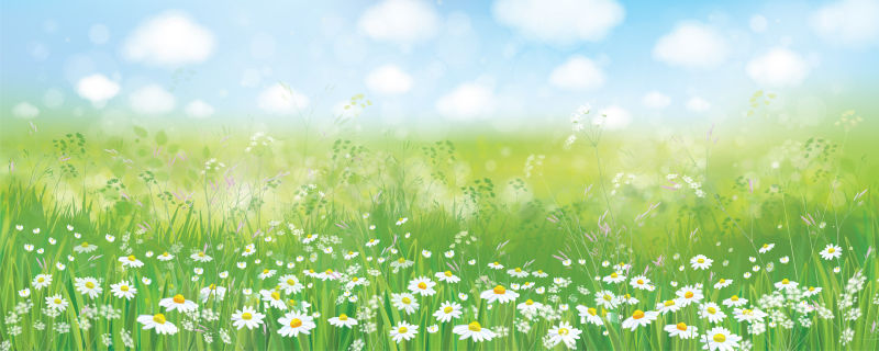 矢量抽象现代春季雏菊元素设计背景