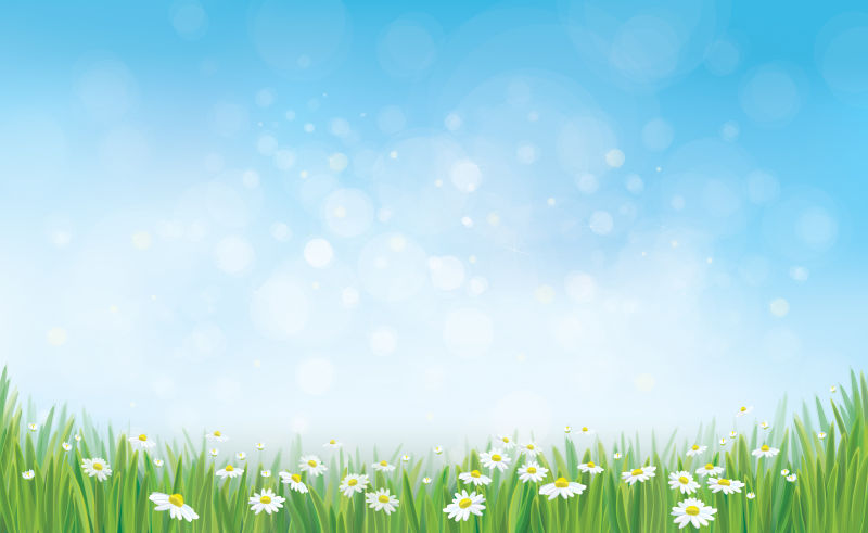 创意矢量现代春季雏菊元素背景设计