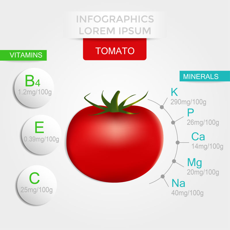 抽象矢量现代番茄信息图表设计