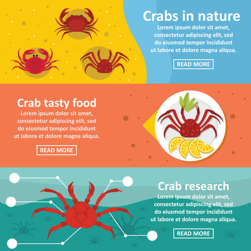 抽象矢量现代螃蟹主题的横幅设计