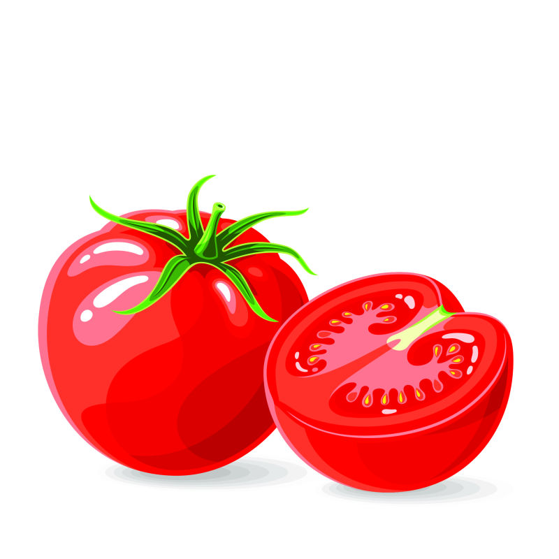 矢量抽象新鲜番茄设计插图