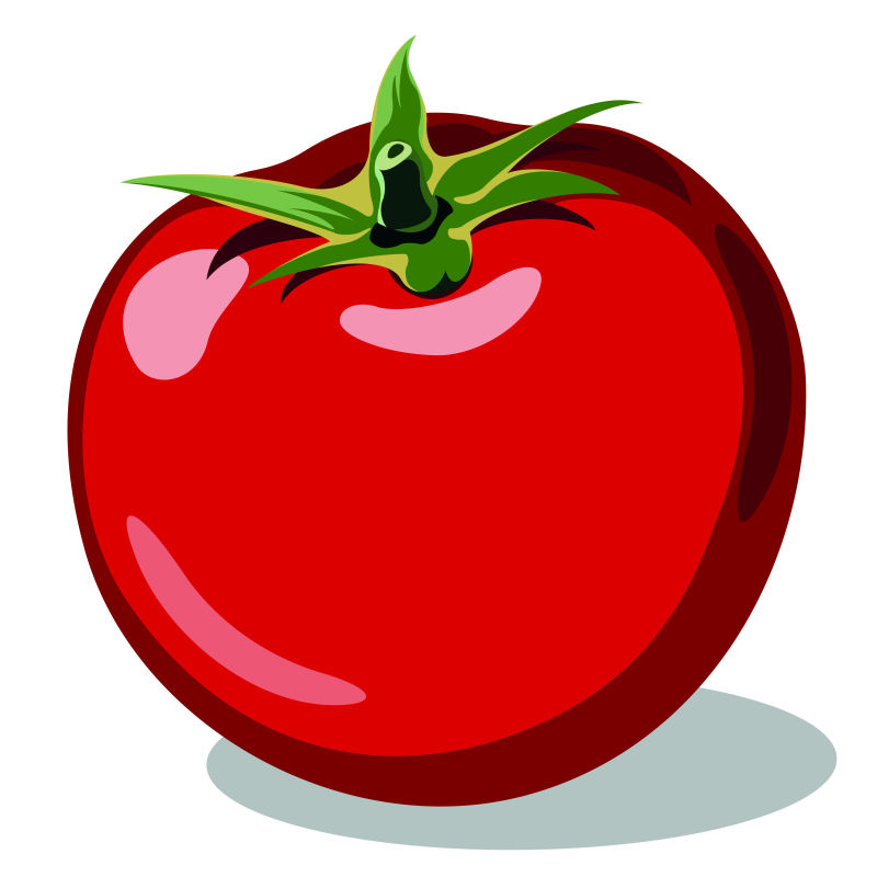 抽象矢量番茄手绘插图设计