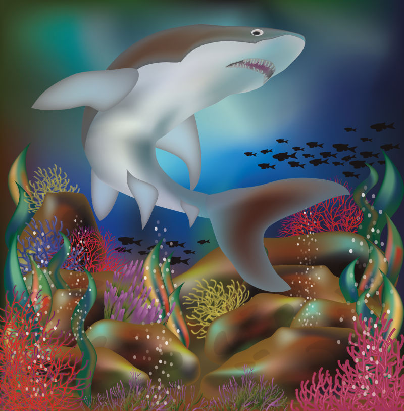 抽象矢量现代海中的鲨鱼插图设计