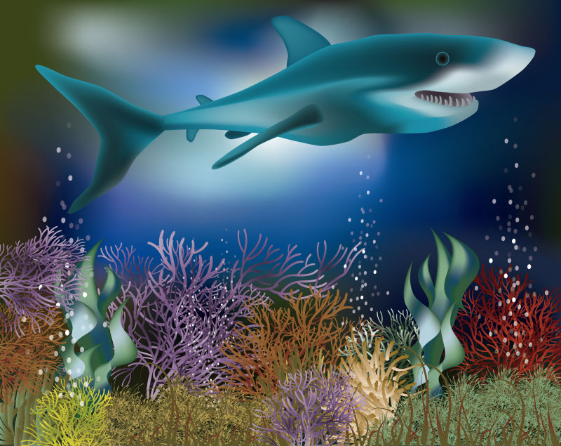 抽象矢量海中的鲨鱼插图