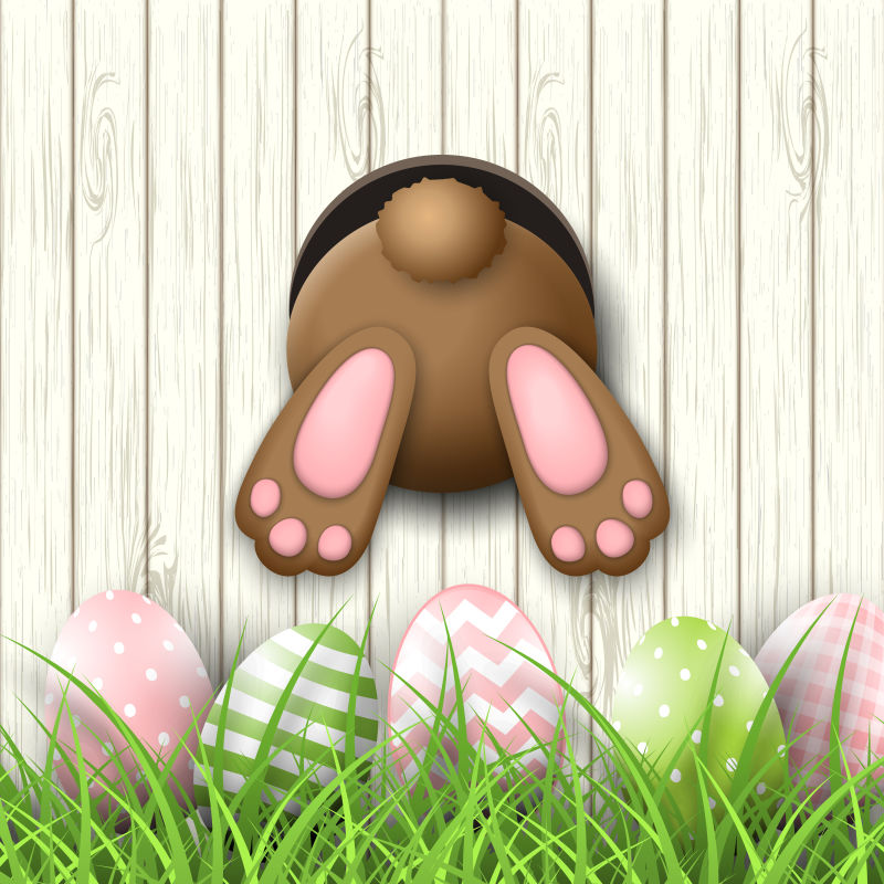 复活节动机白色木质背景鲜草中的兔子底部和紫檀蛋插图